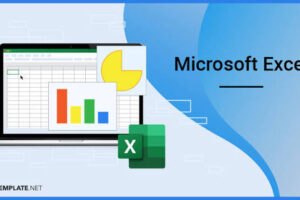 People learning data analysis and visualization using Microsoft Excel on a digital platform